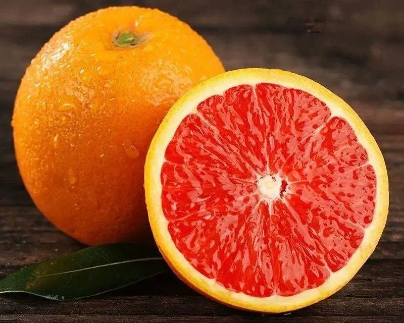Gannan Blood Oranges - a premium variety with exceptional quality standards