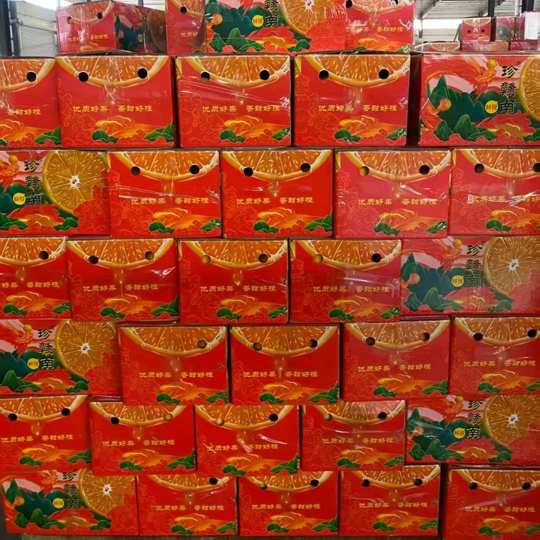 Fresh Gannan Navel Oranges being inspected for quality certification