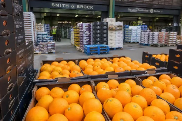 UK Citrus Import Guide 2026: Post-Brexit Rules for Chinese Navel Oranges